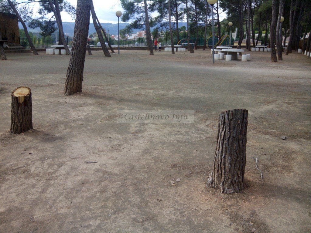 Image00001